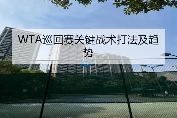 WTA巡回赛关键战术打法及趋势